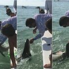 Squalo attacca un pescatore e gli stacca un dito: le immagini terrificanti postate su TikTok FOTO