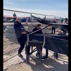 La musica (straziante) di un pianoforte in un campo profughi