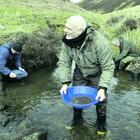 Scozia, tutti a setacciare il fondo dei fiumi: è ripartita la febbre dell'oro