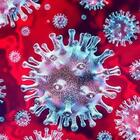 Il virus si cura con l'idrossiclorichina? Il giudice: «Dati positivi dai medici, vanno approfonditi»