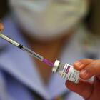 Variante Omicron, Astrazeneca annuncia di essere al lavoro per produrre un vaccino specifico