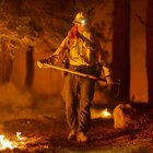 Incendi in Oregon, California e Washington: oltre trenta morti. «Prepararsi a disastro mortale di massa»