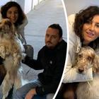 Skipper, il cane rapito a Venezia e ritrovato in Svizzera grazie ai social