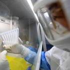 «Coronavirus, nessuna prova contro il laboratorio di Wuhan»: dopo Fauci anche fonti 007 smentiscono Trump