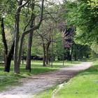 Milano, donna violentata al parco della Montagnetta: è caccia ad uno straniero